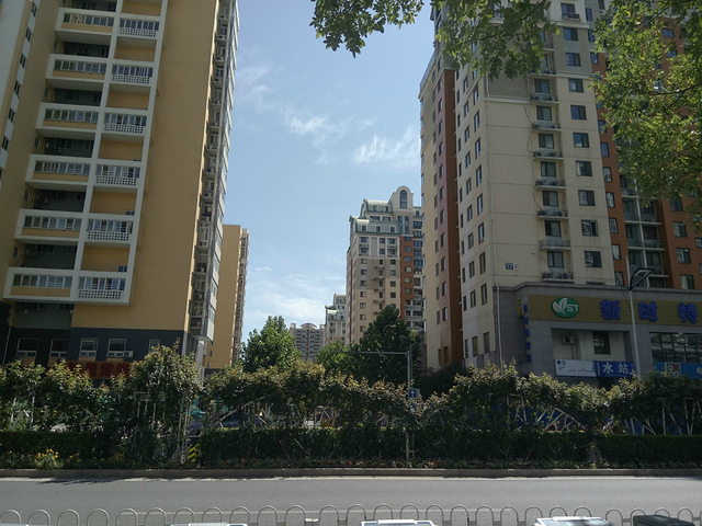 "开放时间：8-18点，建议游览：2-3小时。这里是立体花园，地上、空中各种奇花异草琳琅满目_世界花卉大观园"的评论图片