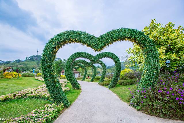 河源客天下醉蝶谷绿色庄园