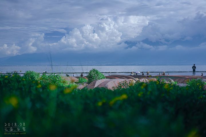 ▲这个位置,感觉是洱海最佳位置。▲挖色,蹭拍