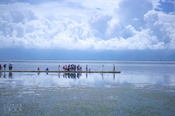 ▲这个位置,感觉是洱海最佳位置。▲挖色,蹭拍