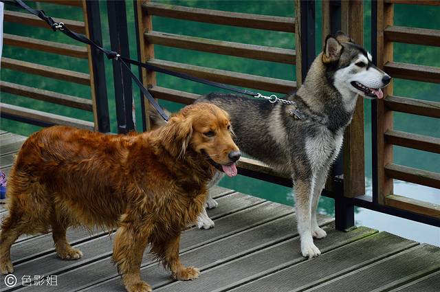 王子山森林公园