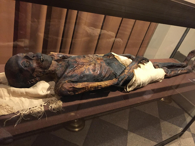 展厅,说白了就是早起从埃及掠夺的一些物件,其中包括干尸木乃伊和石碑