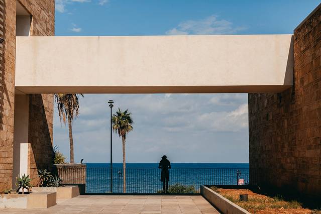 贝鲁特美国大学