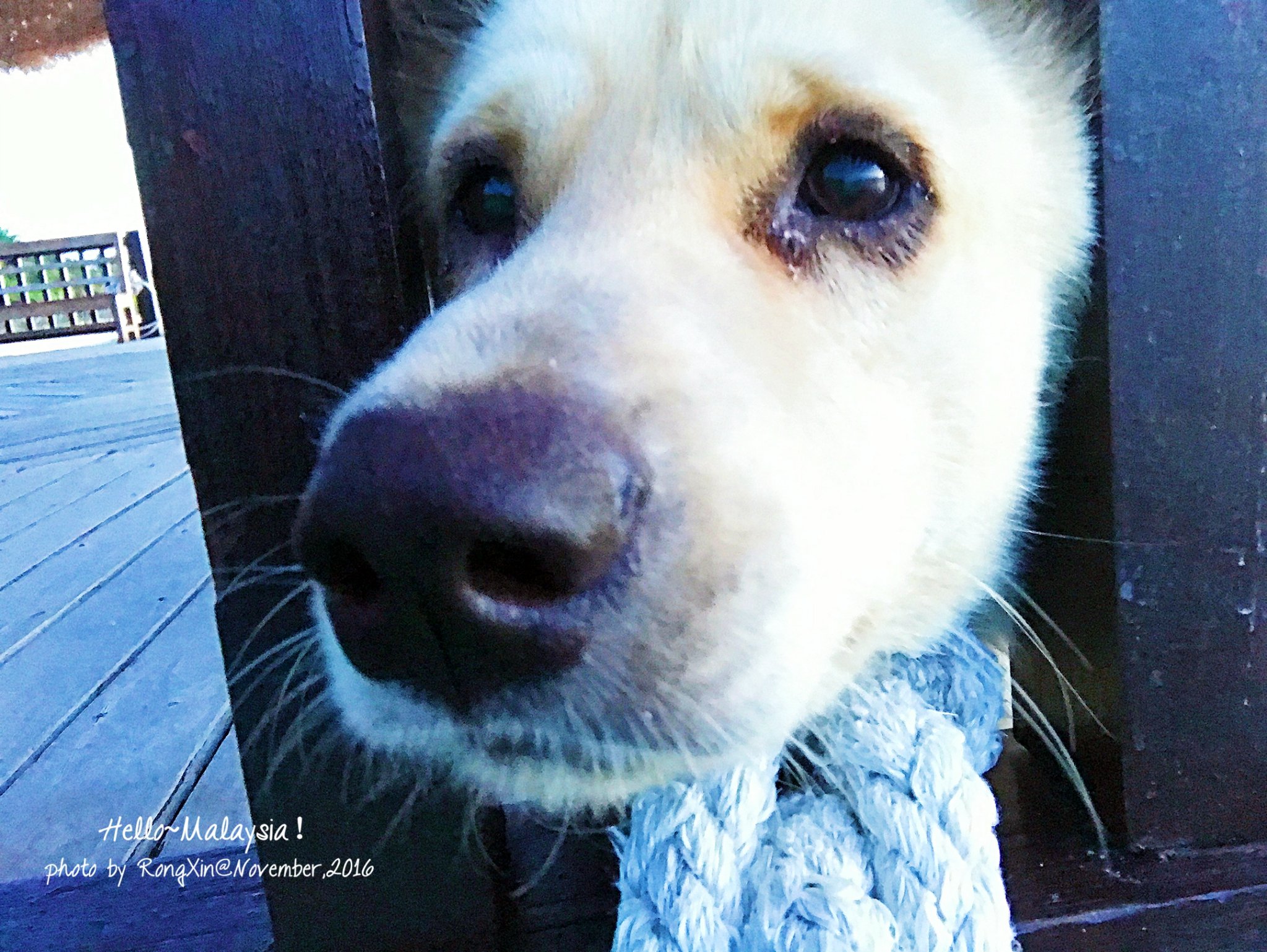 照片很美,但是整个拍摄过程其实很辛苦,顶着烈日,各种摆pose,不停擦汗