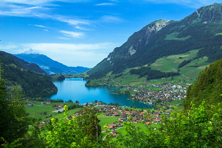 "但高纬度的 瑞士 在夏季 日照 格外的强烈由于上午逆光，所以最佳的拍照时间是下午阴雨绵绵_龙疆小镇"的评论图片