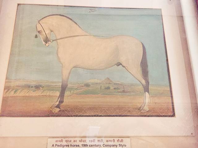 阿尔伯特大厅博物馆