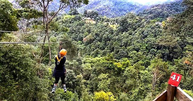 Skyline Adventure 清迈丛林飞跃