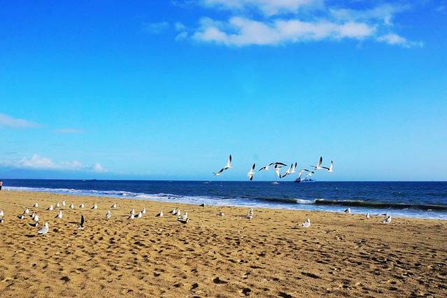 圣巴巴拉滨海区