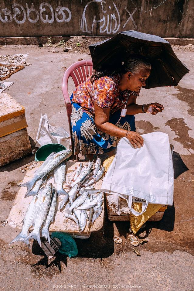 尼甘布中心鱼市场