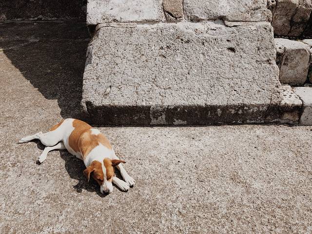 特奥帝瓦坎古城