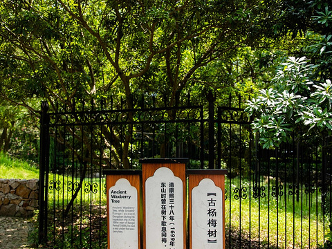 启园旅游景点图片