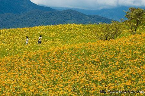 金针山旅游景点攻略图