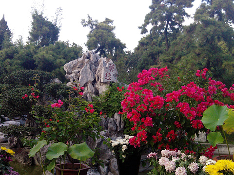 莫愁湖景区旅游景点图片