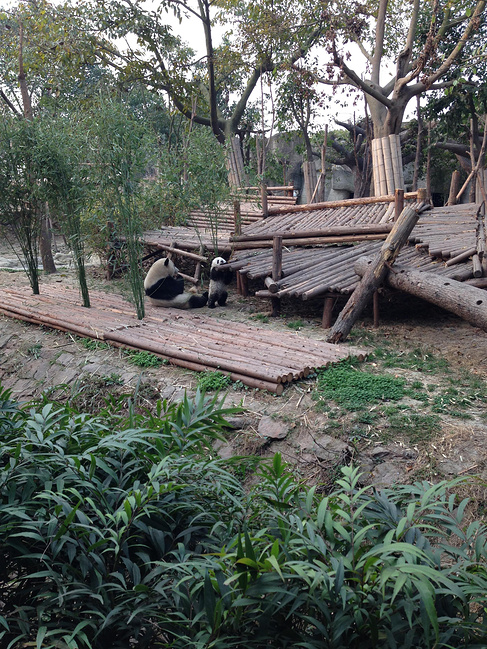 成都、峨眉山、都江堰5日自由行_成都旅游攻略