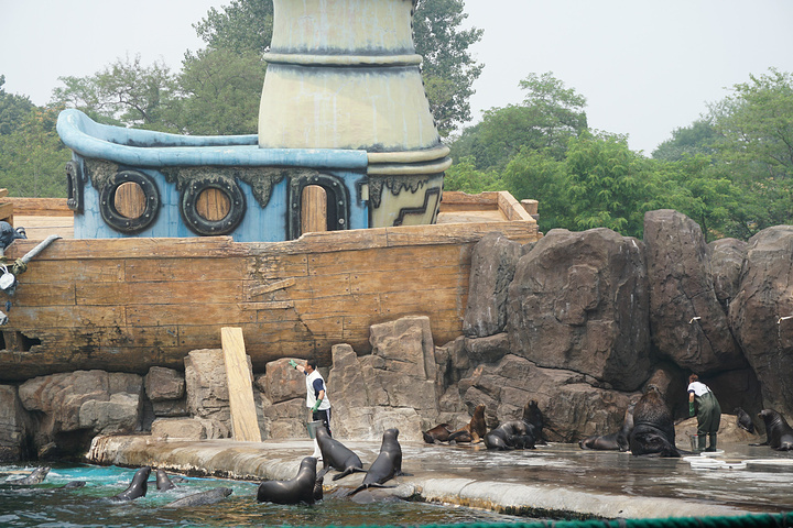老虎滩海兽馆