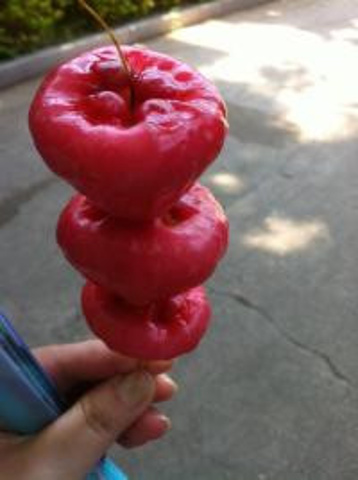 2017莲雾&百香果莲雾的味道真心不怎么样,只