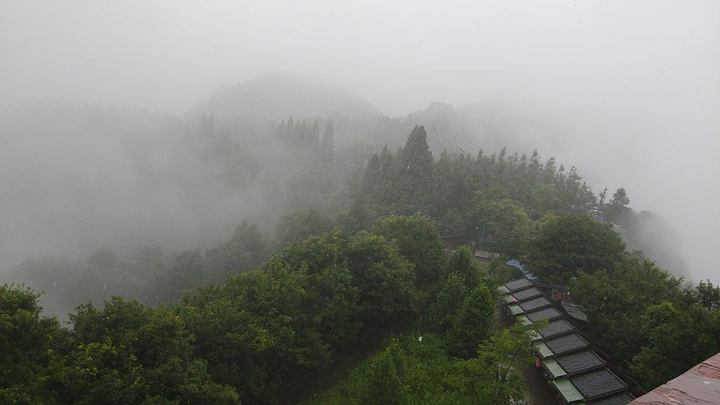 雾气朦胧的画面图片,雾图片大全,路上雾气茫茫的图片(第8页)_大山谷图库