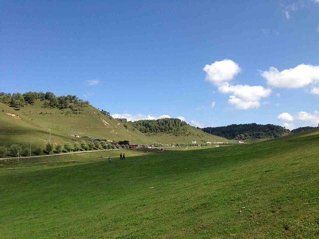 关山草原