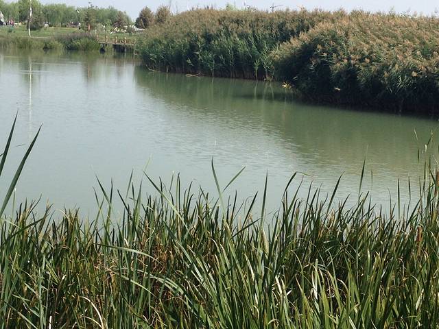 张掖城市湿地博物馆