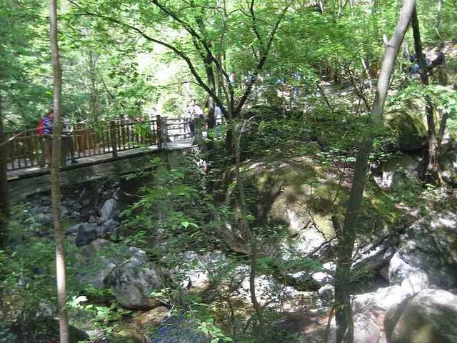 陕西汉中朱鹮国家级自然保护区