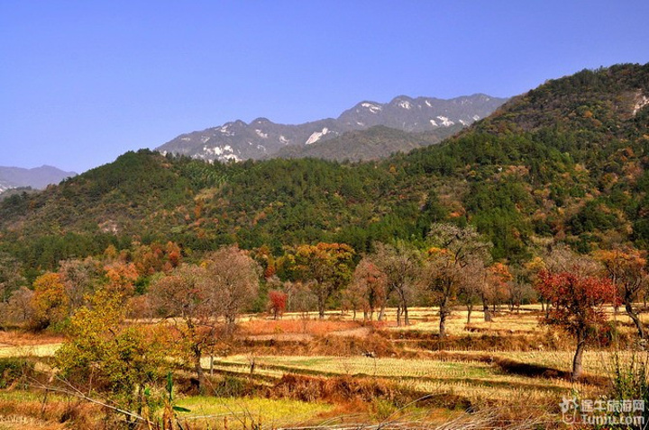 罗田体育中心引入专业教练团队