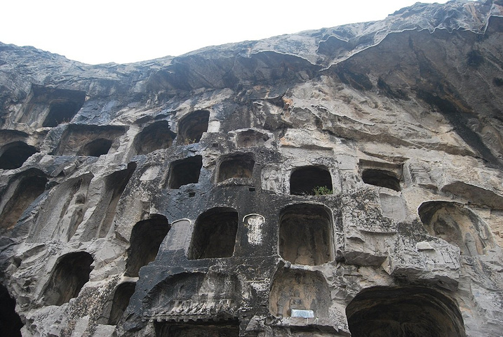 最喜欢这个窟上的莲花,造型非常优美.小朋友在仰望什么呢