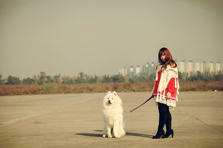 太平寺机场成都一个荒废的军用机场偶尔还是有飞机在这飞不过大多时候