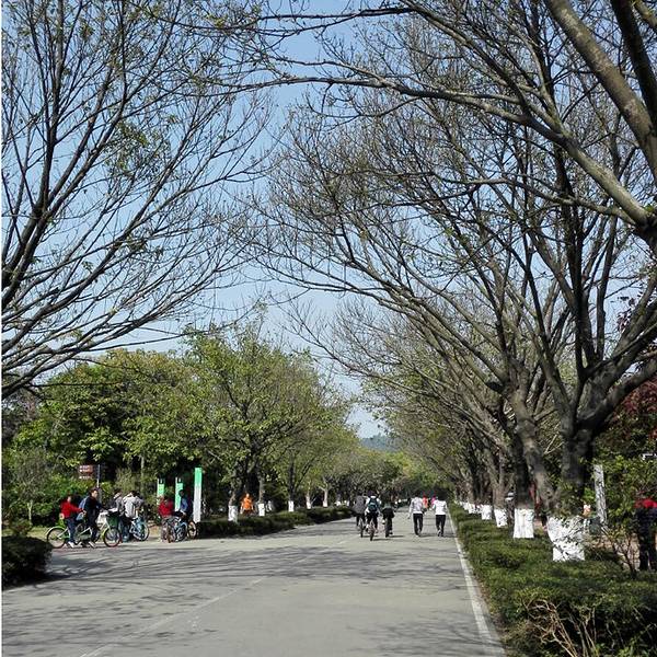 2019大夫山森林公园门票,广州大夫山森林公园