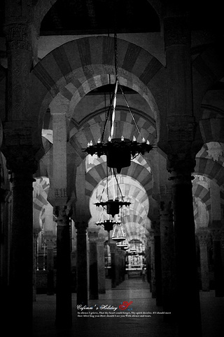 .大片的空间,被改为哥特式的天主教堂,看上去总