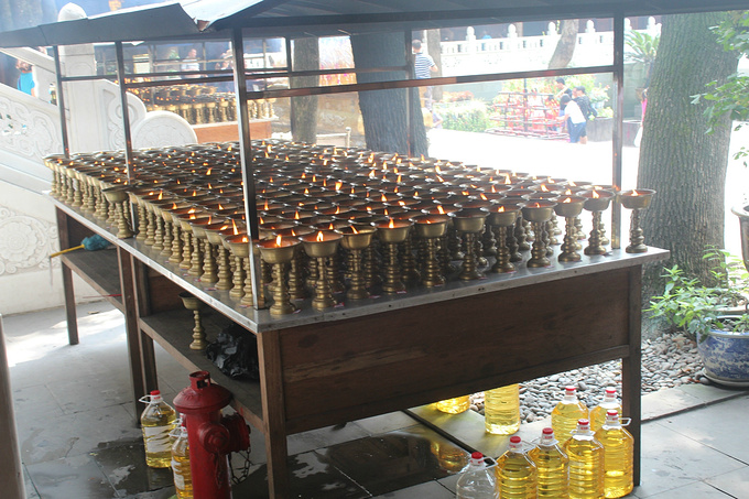 陪父母游乐山大佛峨眉山