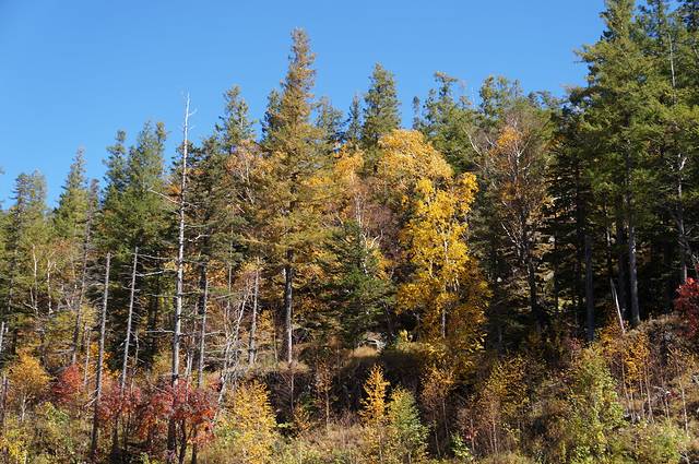 给生活一次深呼吸--我们一起去看水怪吧