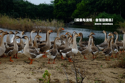 海尾湿地公园旅游景点攻略图