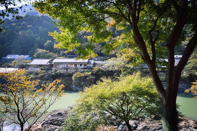 岚山嵯峨野观光小火车