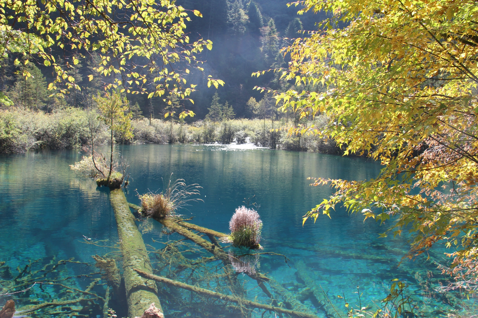 点评(1&nbsp;条) 金铃海位于阿坝市九寨沟县漳扎镇九寨沟风景名胜区内
