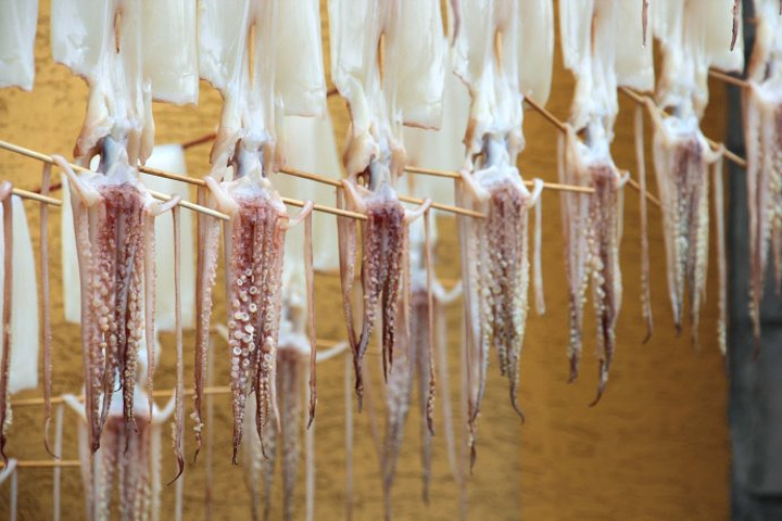 2017夏季最高气温33.5℃,冬季最低气温1℃_龙