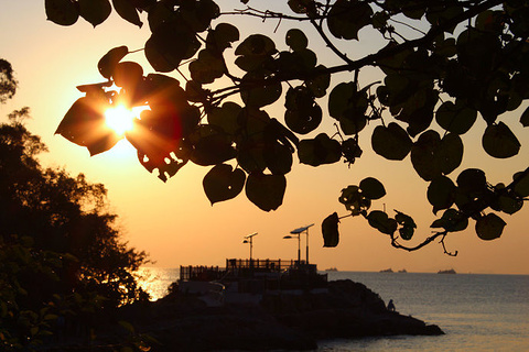 芦须城泳滩旅游景点攻略图