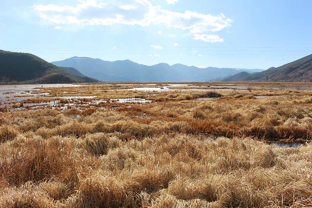 草海国家级自然保护区