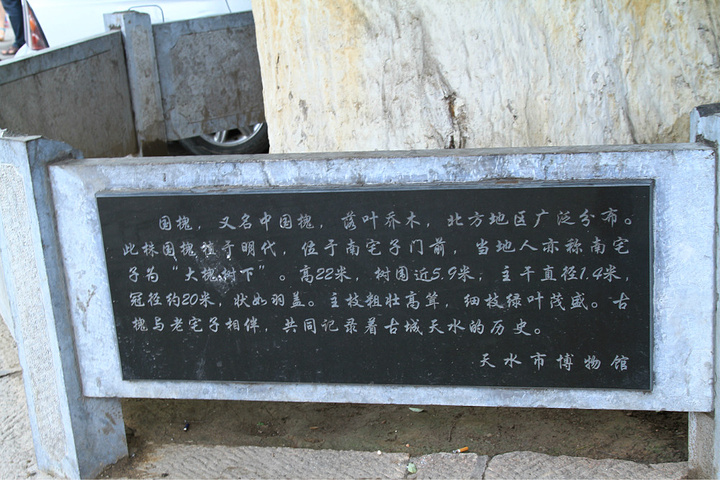 "竟然不再攀援而形成了自己的主干。可是，可是，在这里上百年的凌霄肿么成了这个样子.这可是腊梅哟_南宅子"的评论图片