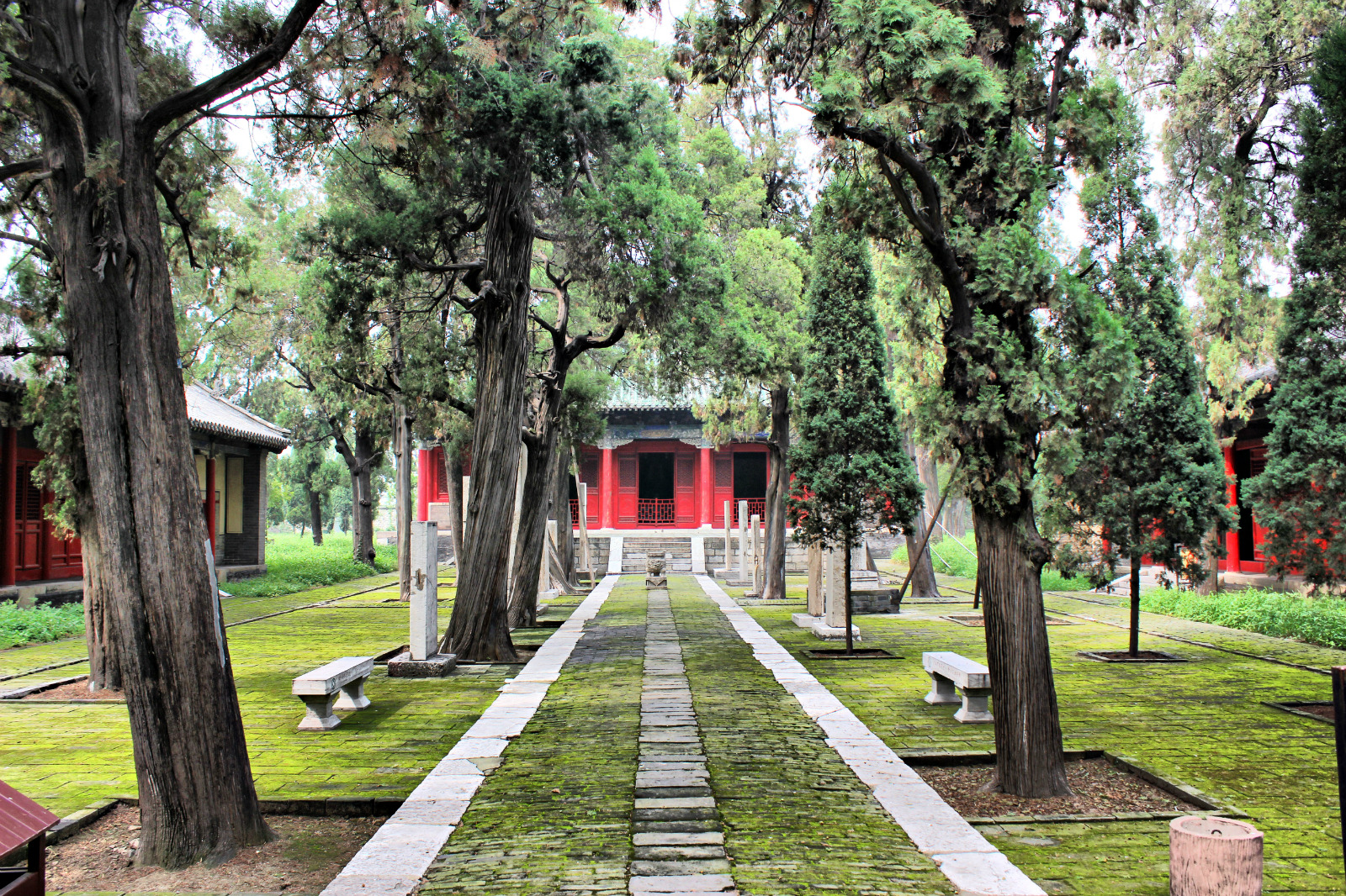 鲁国故城即周代国都城遗址.