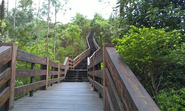 水濂山森林公园