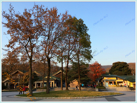 中山陵景区旅游景点攻略图