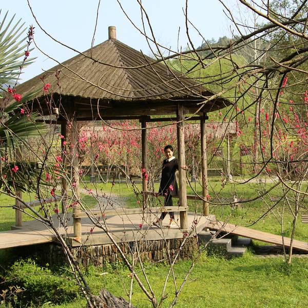 严田古樟民俗园