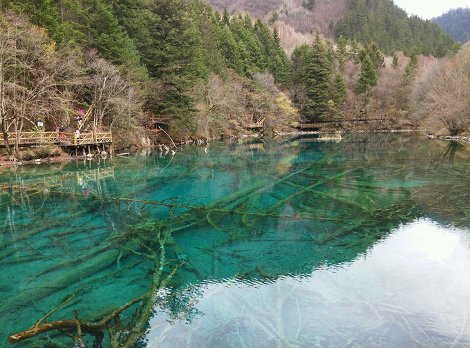 九寨沟实用，简略攻略-九寨沟旅游攻略-游记-去哪儿攻略