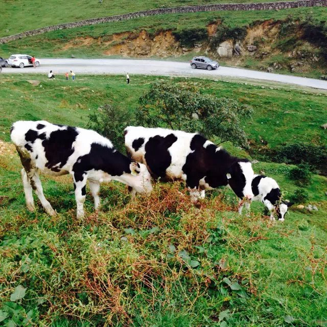 南山风景名胜区