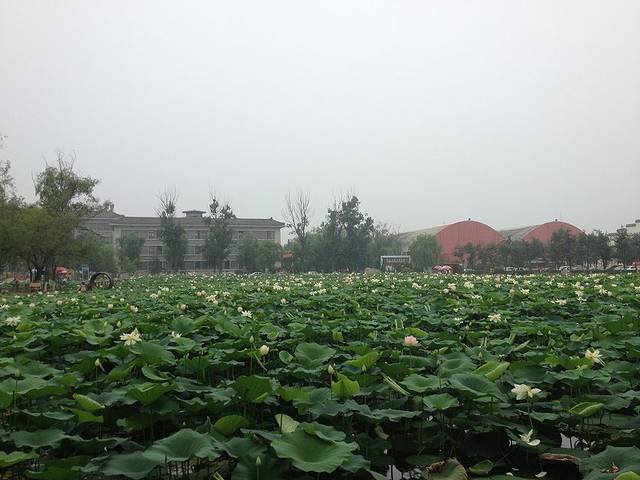 蟹岛绿色生态度假村