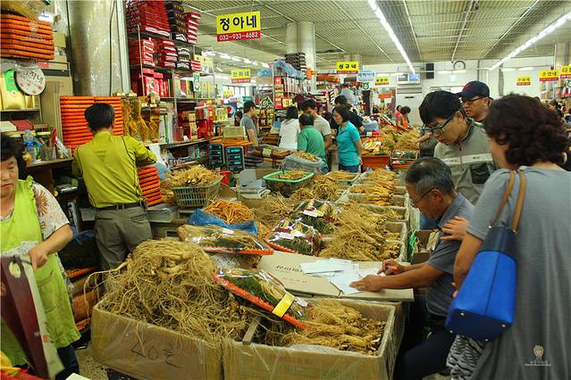 江华岛人参中心