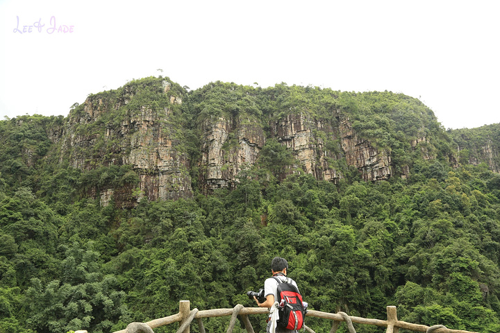 "...天飘降，轻柔，飘忽，无声无息……与雄伟壮阔的悬崖背景，刚柔并济，奇妙地融为一体，真叫人叹为观止_广东大峡谷"的评论图片