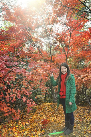 "要上栖霞山要经过栖霞寺，门票在栖霞寺门口买！我们也没什么路线，纯粹是在山上随便找些路走走！票价2元_栖霞山"的评论图片