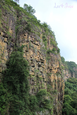 "...天飘降，轻柔，飘忽，无声无息……与雄伟壮阔的悬崖背景，刚柔并济，奇妙地融为一体，真叫人叹为观止_广东大峡谷"的评论图片