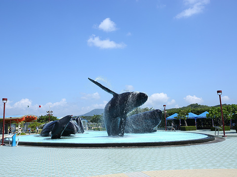 台湾海洋生物博物馆旅游景点图片